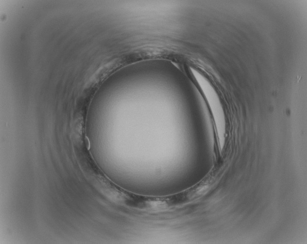 X0000074290509200609151920