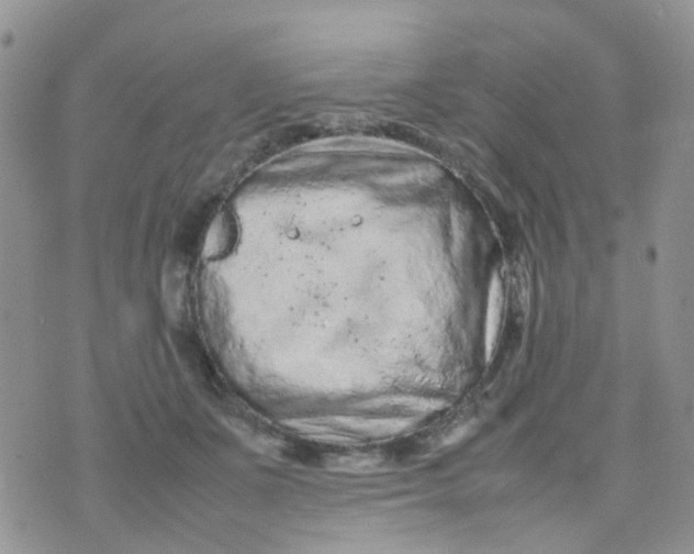 X0000074290511200609151920