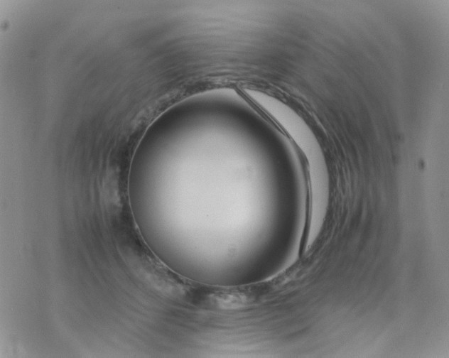 X0000074290512200609151920