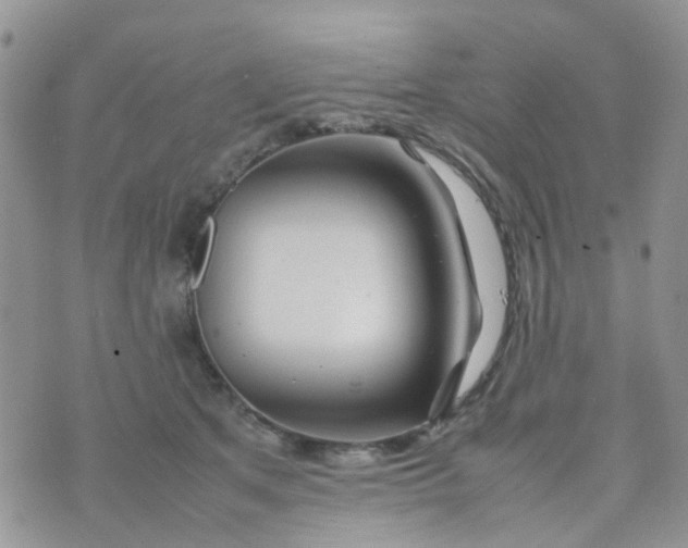 X0000074290513200609151920