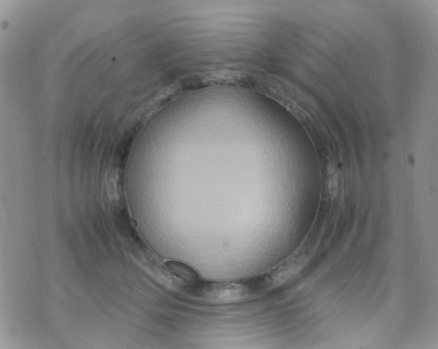 X0000074290514200609151920