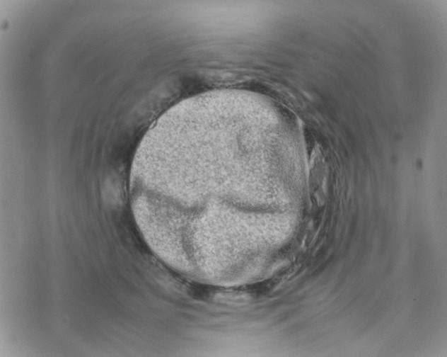 X0000074290515200609151920