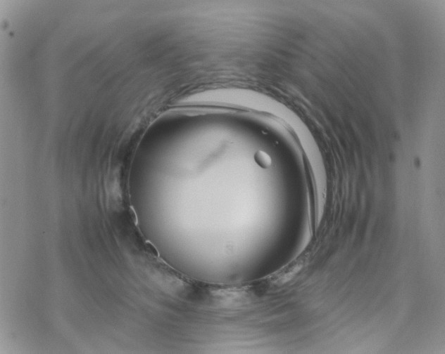 X0000074290516200609151920