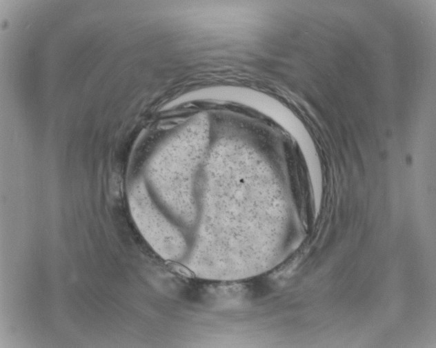 X0000074290517200609151920