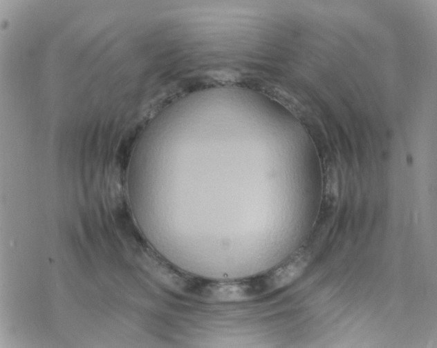 X0000074290518200609151920