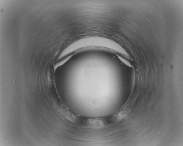 X0000074290520200609151920