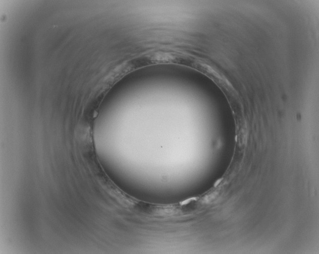 X0000074290521200609151920