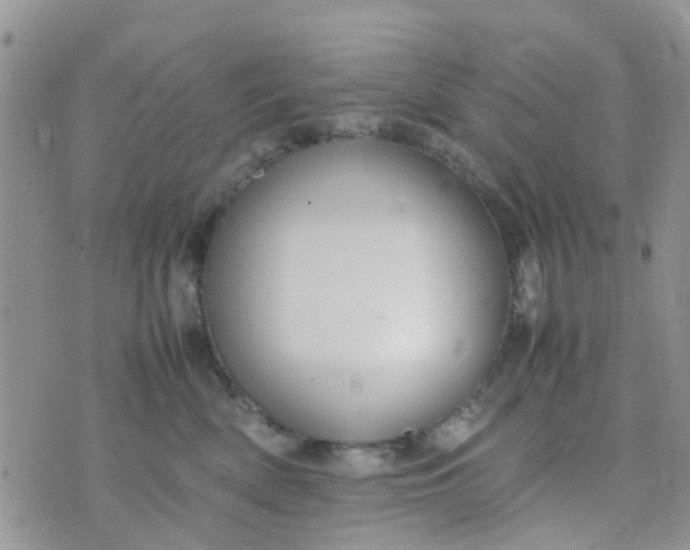 X0000074290522200609151920