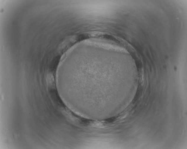 X0000074290523200609151920