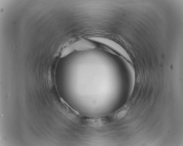 X0000074290524200609151920