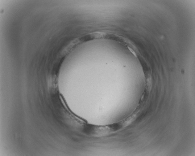 X0000074290525200609151920