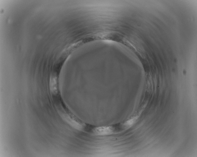 X0000074290526200609151920