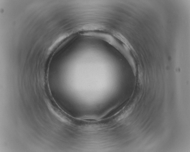 X0000074290530200609151919