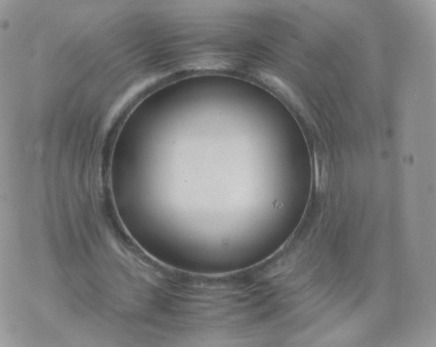 X0000074290531200609151919