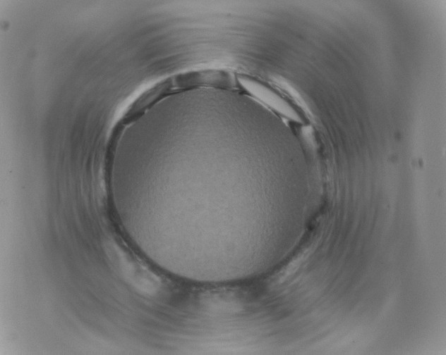 X0000074290532200609151919