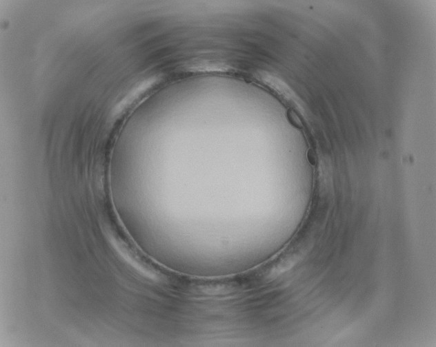 X0000074290533200609151919