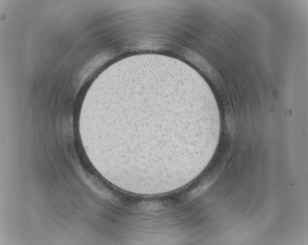 X0000074290534200609151919