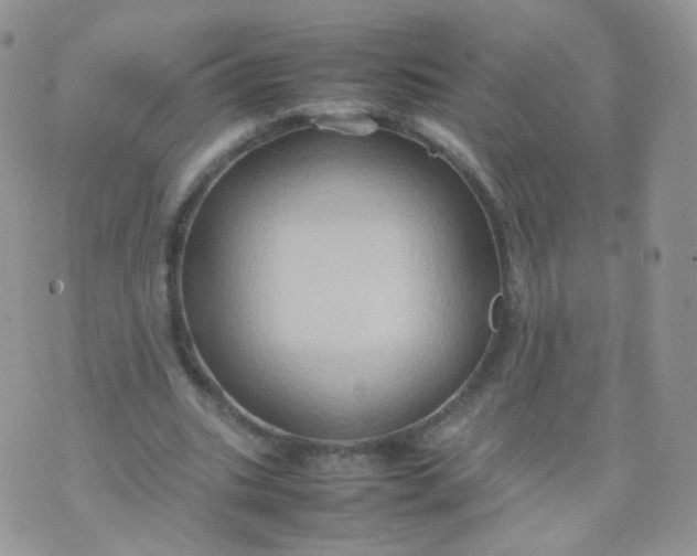 X0000074290535200609151919