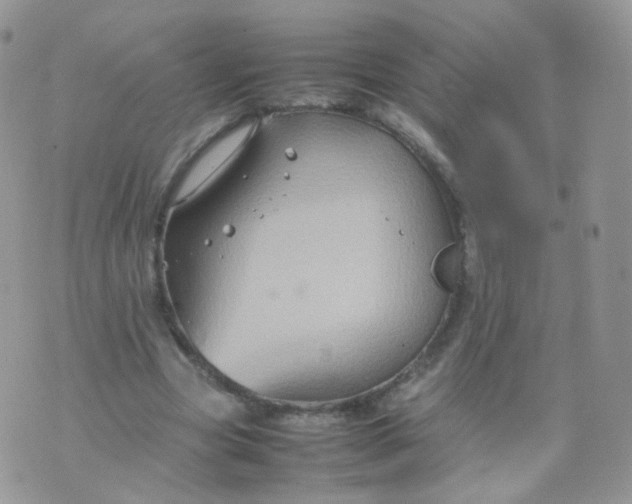 X0000074290537200609151919