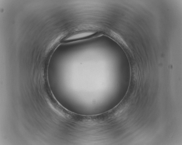 X0000074290538200609151919