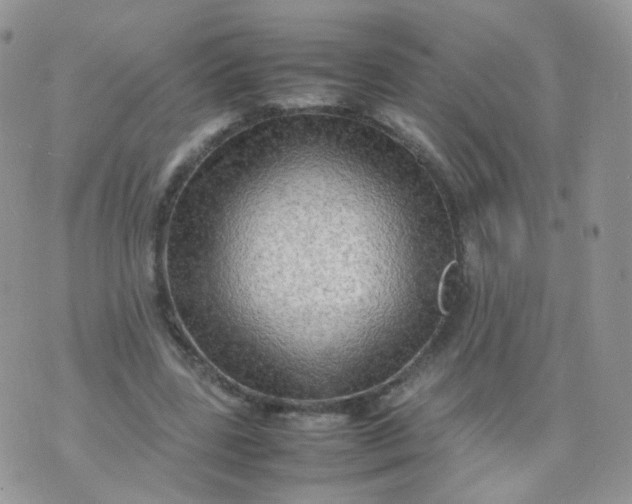 X0000074290539200609151919