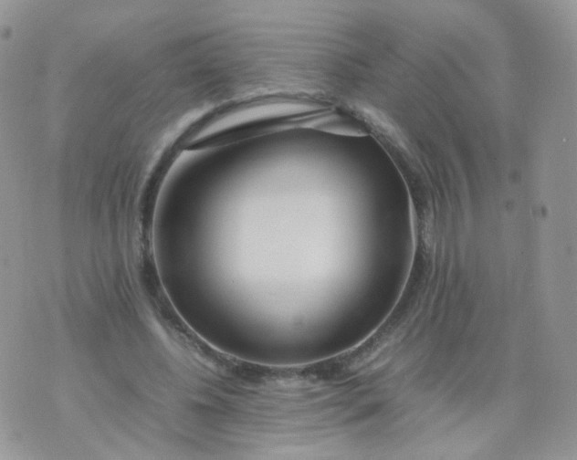 X0000074290540200609151919