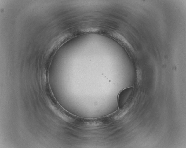 X0000074290541200609151919