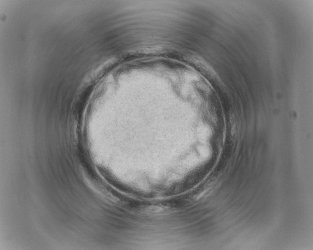 X0000074290542200609151919