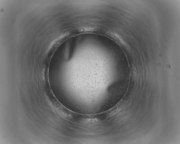 X0000074290543200609151919