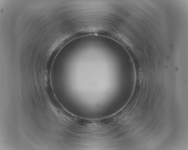 X0000074290544200609151919