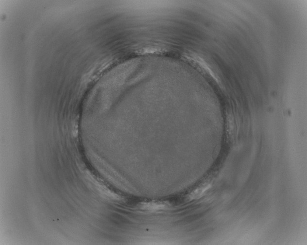 X0000074290545200609151919