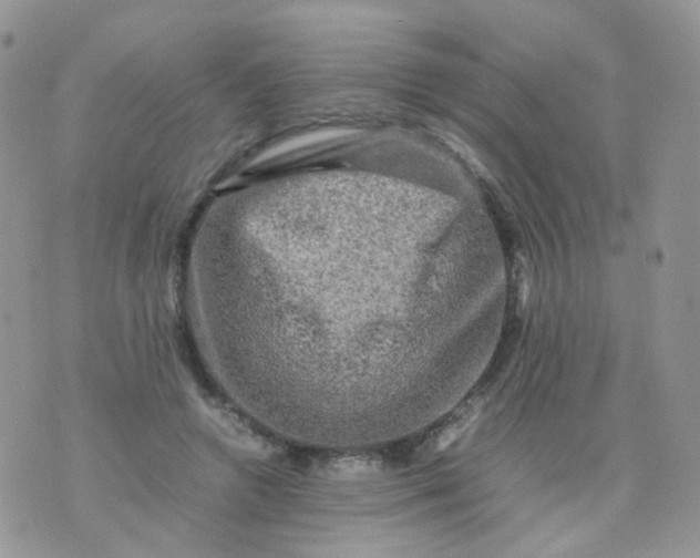 X0000074290546200609151919