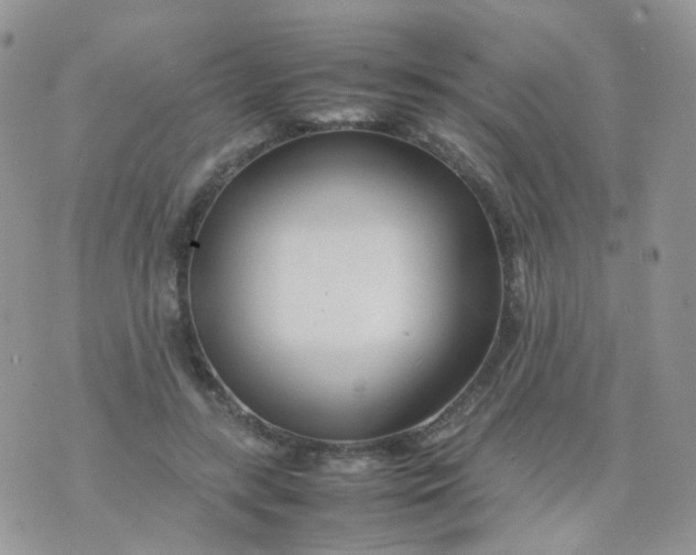 X0000074290547200609151919