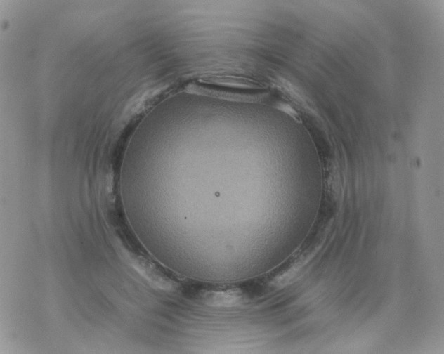 X0000074290548200609151919