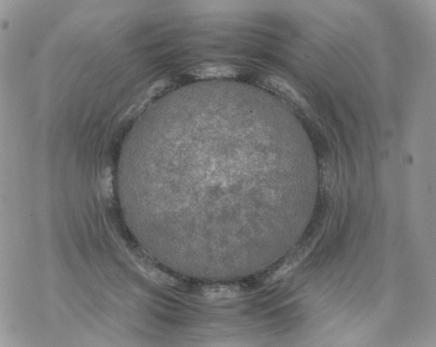 X0000074290549200609151919