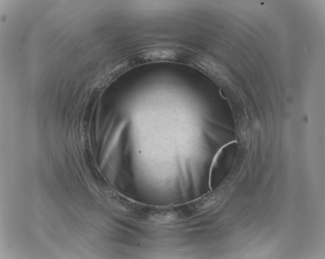 X0000074290551200609151919