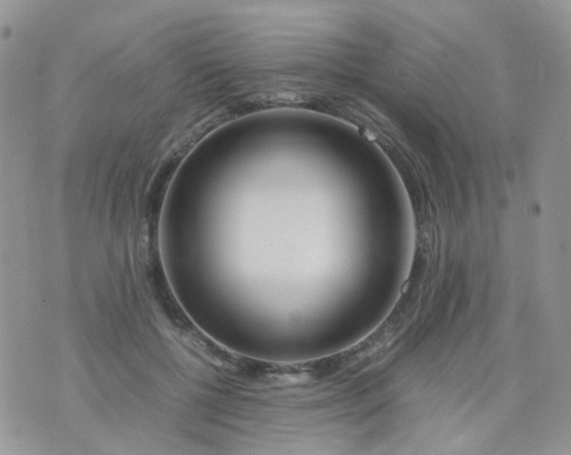 X0000074290552200609151919