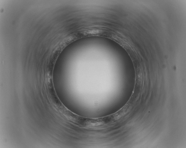 X0000074290555200609151919