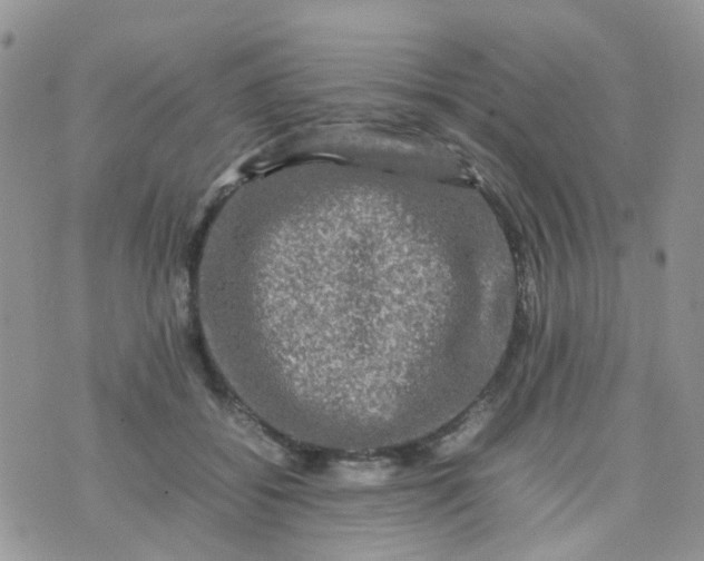 X0000074290556200609151920