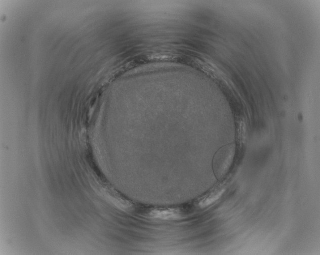 X0000074290557200609151920