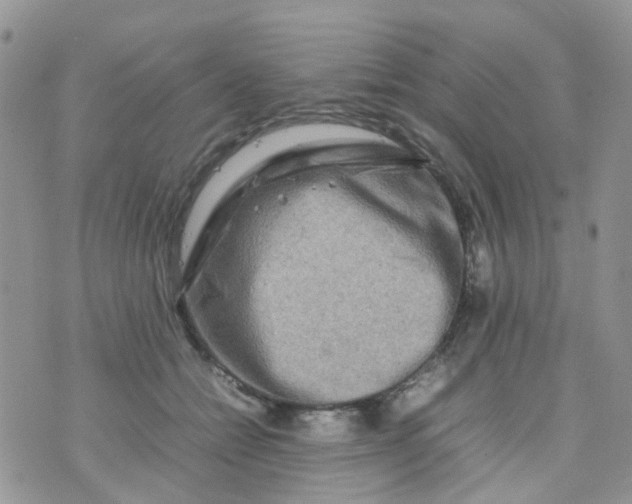 X0000074290558200609151920