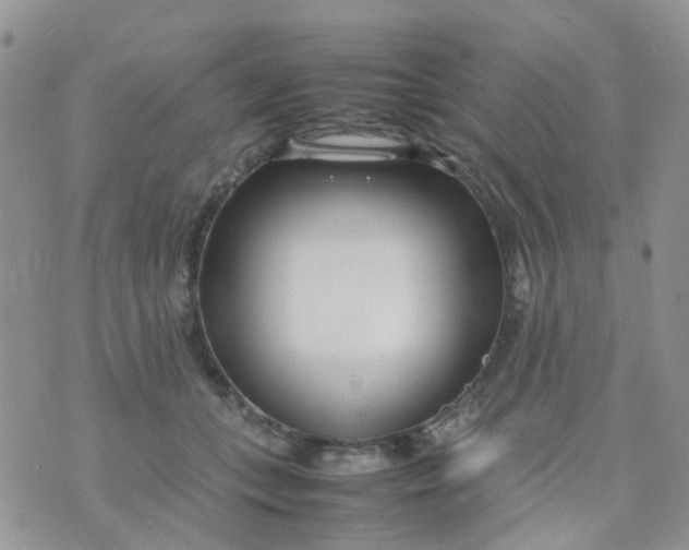 X0000074290559200609151920