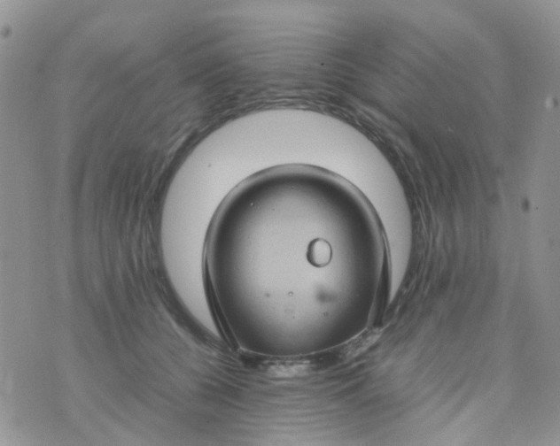 X0000074290560200609151920