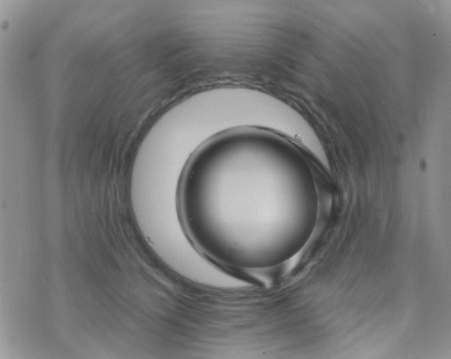 X0000074290564200609151920