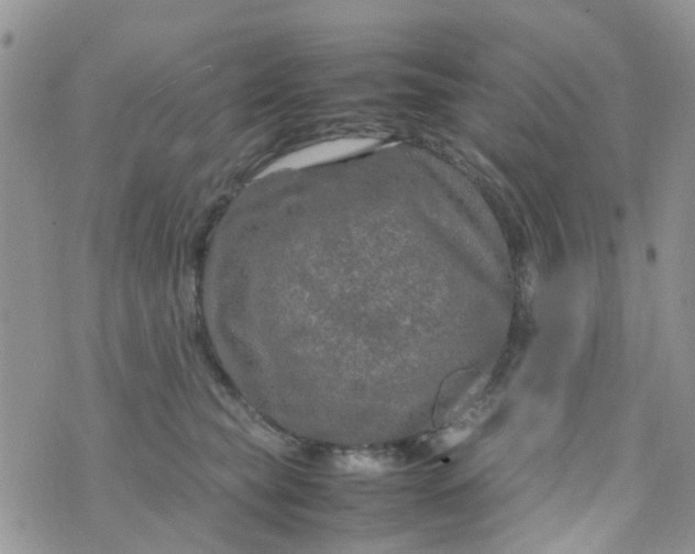 X0000074290565200609151920