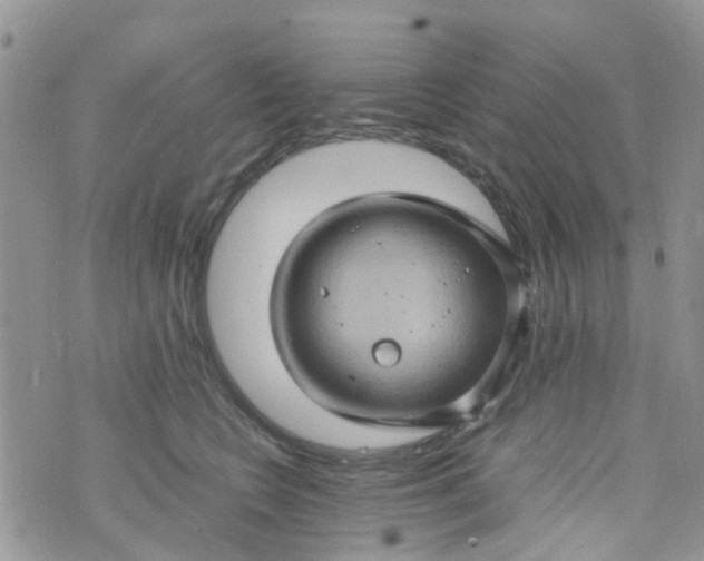 X0000074290566200609151920