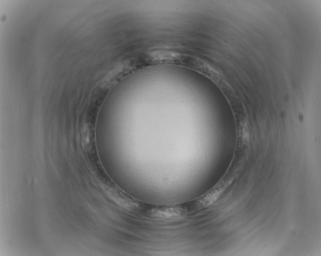 X0000074290567200609151920