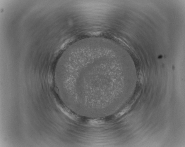 X0000074290568200609151920