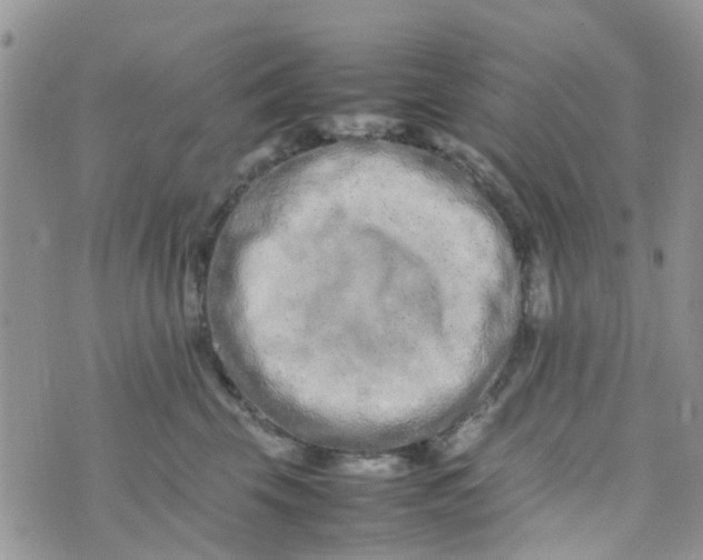 X0000074290569200609151920