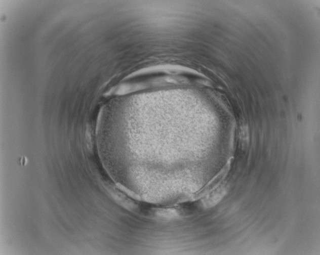 X0000074290572200609151920